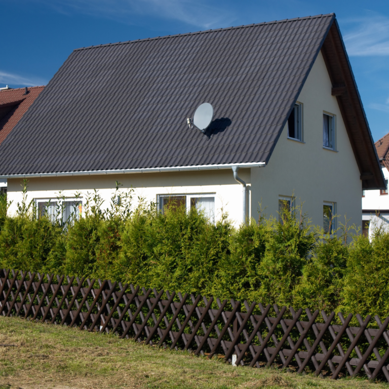 Diseño sin título (7)